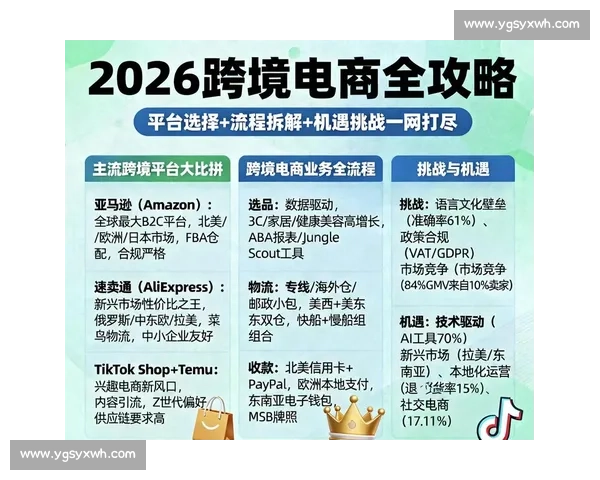 聚焦暴涨背后的机会逻辑与市场趋势变化深度全面实战解读指引