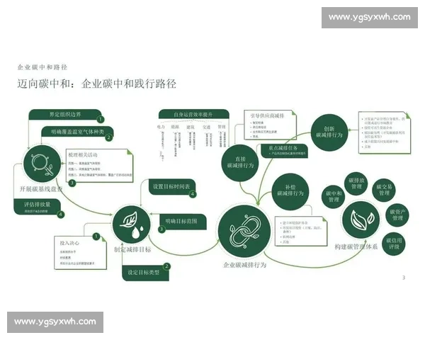 构建高效协同的体育供应链创新发展新生态体系与数字化升级路径探索